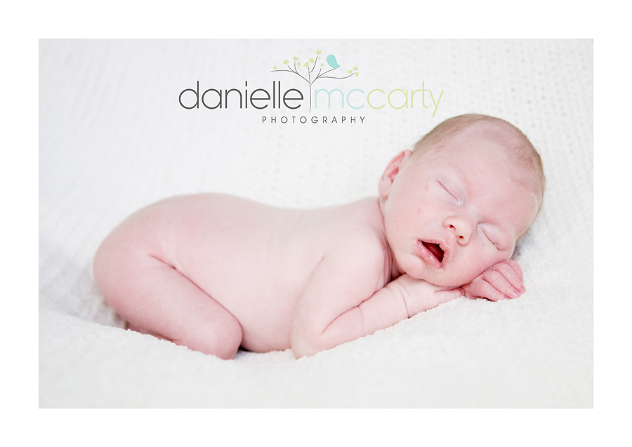 5-img_5192-editcrop1 5-img_5192-editcrop1