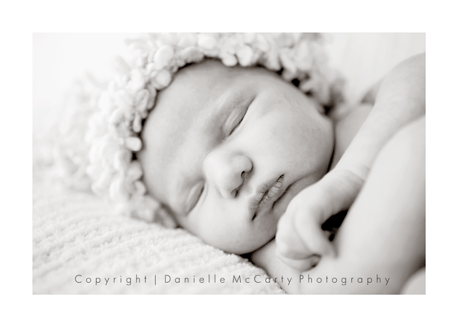 6-img_2748-edit 6-img_2748-edit