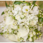26-IMG_0217-2 26-IMG_0217-2