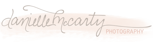 Danielle McCarty Photography Blog logo